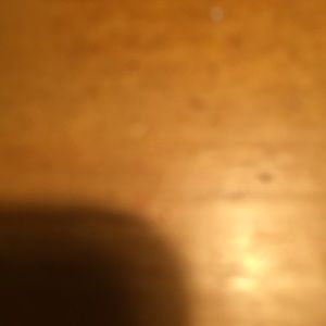 Meet your Posher, Austin